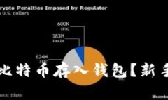 如何安全地将比特币存入钱包？新手用户完全指