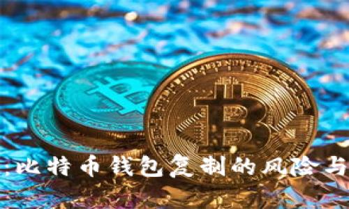 全面解析：比特币钱包复制的风险与解决方案