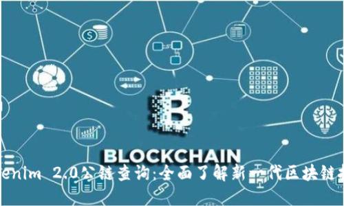 Tokenim 2.0公链查询：全面了解新一代区块链技术