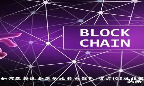 如何选择适合您的比特币钱包：官方iOS版详解