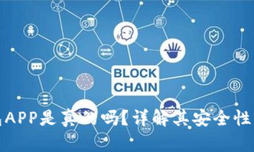 狗狗币钱包APP是真的吗?详解其安全性与使用体验