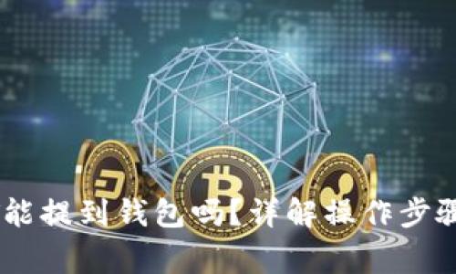 刚买的USDT能提到钱包吗？详解操作步骤与注意事项