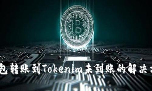 HECO钱包转账到Tokenim未到账的解决方案指南