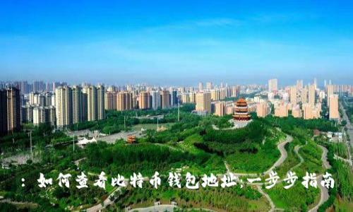 : 如何查看比特币钱包地址：一步步指南