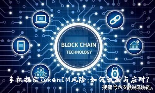 手机提示TokenIM风险：如何识别与应对?