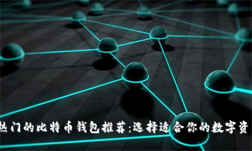 2023年最热门的比特币钱包推荐：选择适合你的数字资产安全保障