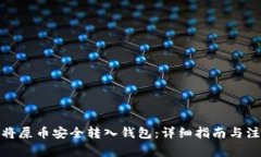 : 如何将屎币安全转入钱包：详细指南与注意事项