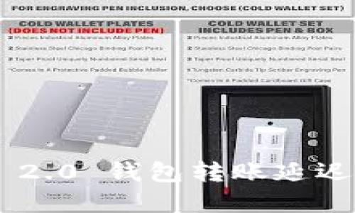 Tokenim 2.0 钱包转账延迟解决攻略