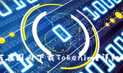 如何在国内下载Tokenim？详细指南