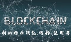 全面解析比特币钱包：选择、使用与安全性