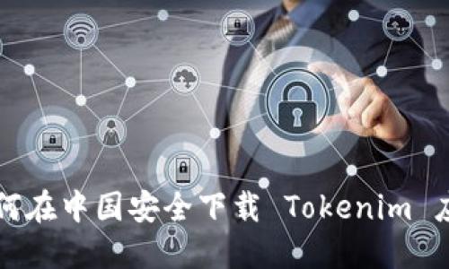 如何在中国安全下载 Tokenim 应用