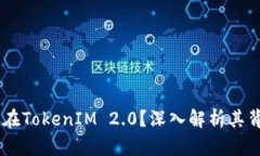为什么DApp币存在TokenIM 2.0？深入解析其背后的意