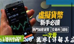 什么是 Tokenim 2.0 流水？详解其应用与前景