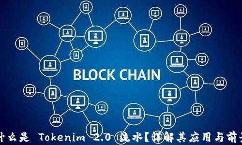 
什么是 Tokenim 2.0 流水？详解其应用与前景
