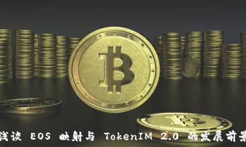   
浅谈 EOS 映射与 TokenIM 2.0 的发展前景