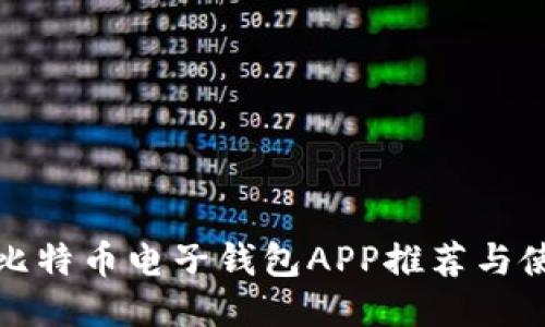 : 最佳比特币电子钱包APP推荐与使用指南