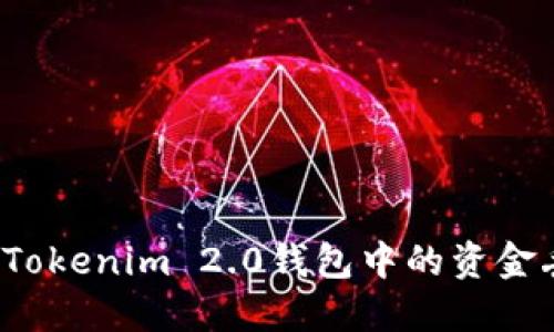 如何解决Tokenim 2.0钱包中的资金丢失问题？