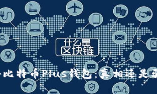 揭秘比特币Plus钱包：真相还是骗局？