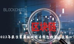 2023年最佳苹果版比特币钱包推荐与使用心得