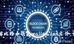 如何破解比特币钱包wallet.dat文件：详细指南