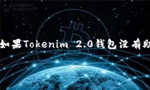 在区块链和加密货币领域，助记词是用户恢复钱包和资产的重要工具。如果Tokenim 2.0钱包没有助记词，该如何恢复钱包呢？以下是针对这一主题的、关键词和内容大纲。

如何在没有助记词的情况下恢复Tokenim 2.0钱包