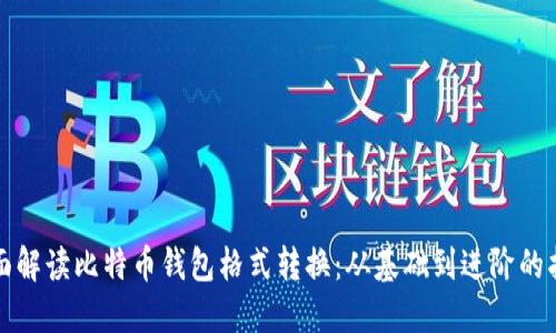 全面解读比特币钱包格式转换：从基础到进阶的指南