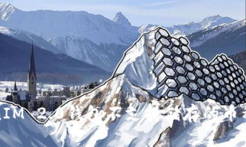 TokenIM 2.0钱包不支持储存的币种详解