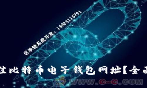 和关键词

如何选择最佳比特币电子钱包网址？全面指南与推荐