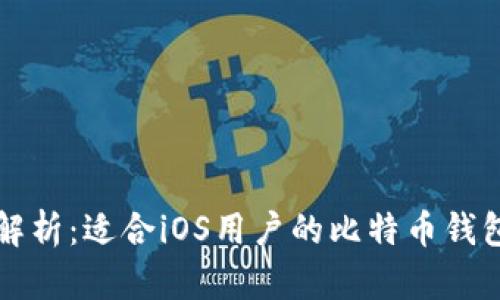 全面解析：适合iOS用户的比特币钱包推荐