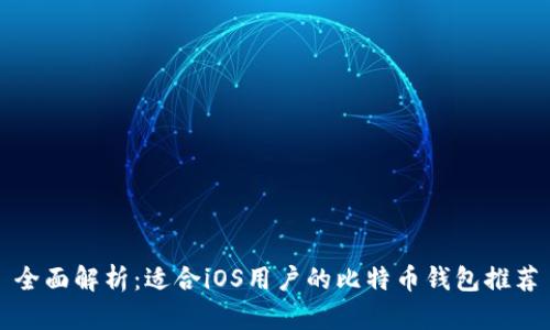 全面解析：适合iOS用户的比特币钱包推荐