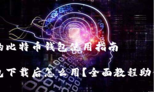 容易上手的比特币钱包使用指南

比特币钱包下载后怎么用？全面教程助你轻松上手