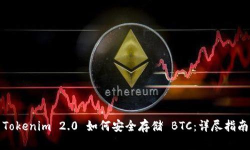 Tokenim 2.0 如何安全存储 BTC：详尽指南