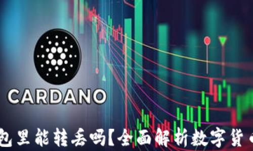 
USDT在钱包里能转丢吗？全面解析数字货币转账风险