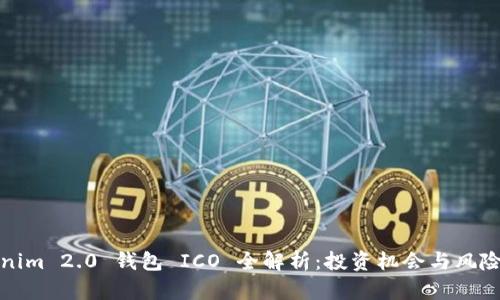 Tokenim 2.0 钱包 ICO 全解析：投资机会与风险评估