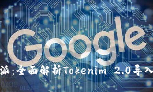 比特派：全面解析Tokenim 2.0导入攻略